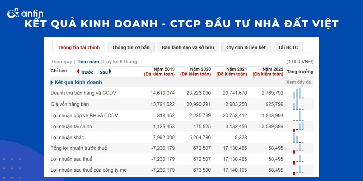 Kết quả kinh doanh - CTCP Đầu tư Nhà Đất Việt