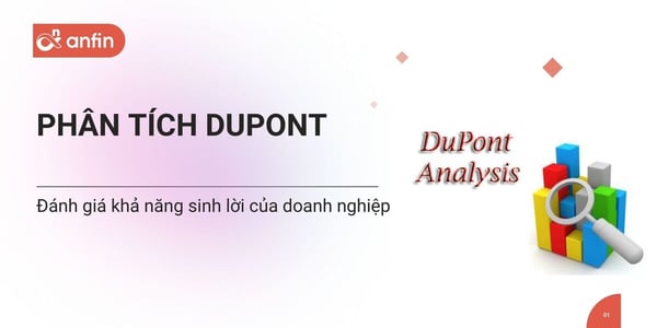 Phân tích Dupont là gì
