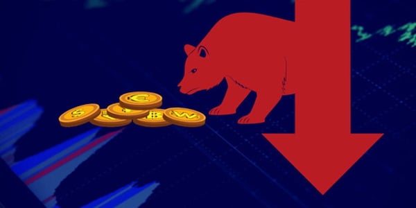 bear market trong chứng khoán là gì