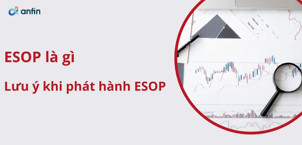 ESOP là chính sách chi trả cổ phiếu thưởng cho nhân viên