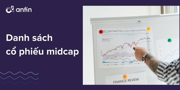 Danh sách cổ phiếu midcap 2022