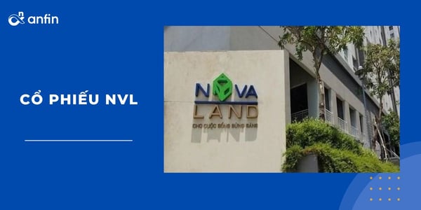 Tình hình hoạt động của Novaland và mã cổ phiếu NVL